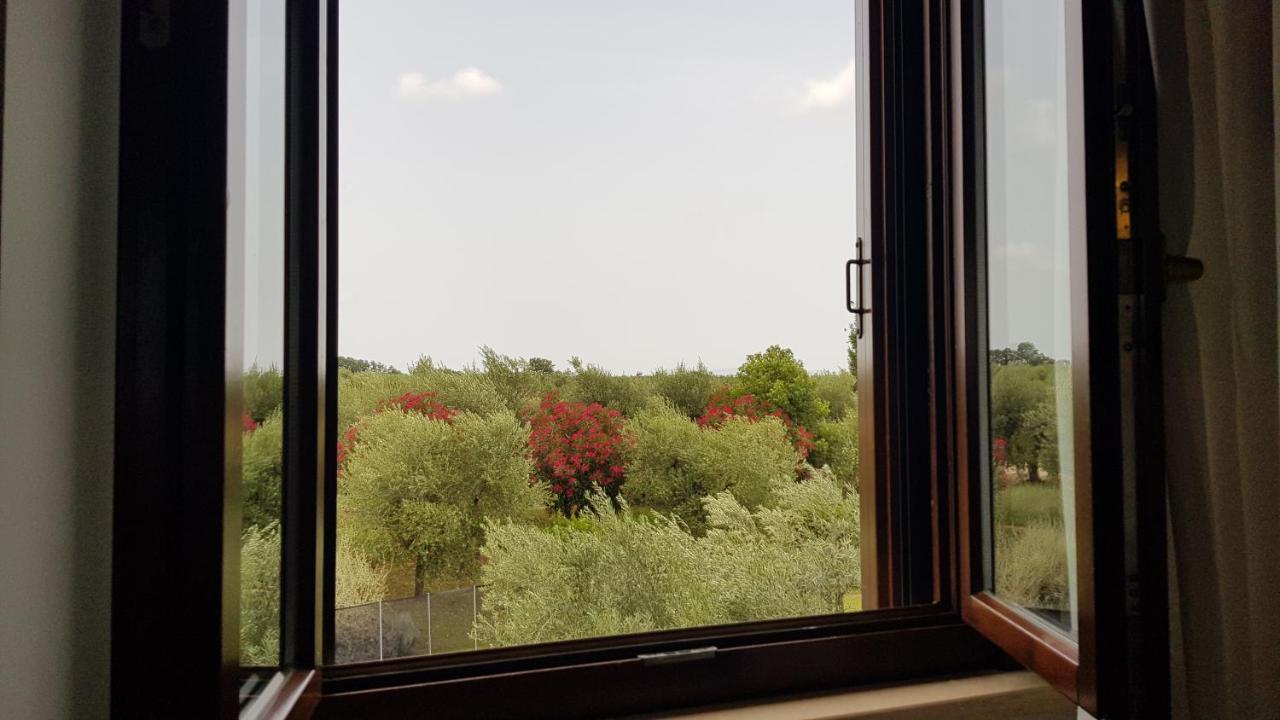 Il Casale Degli Ulivi - Agriturismo - Tenimenti Leone Lanuvio Bagian luar foto