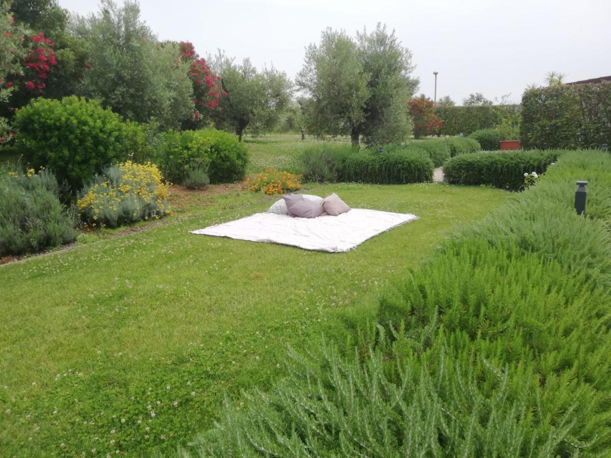 Il Casale Degli Ulivi - Agriturismo - Tenimenti Leone Lanuvio Bagian luar foto