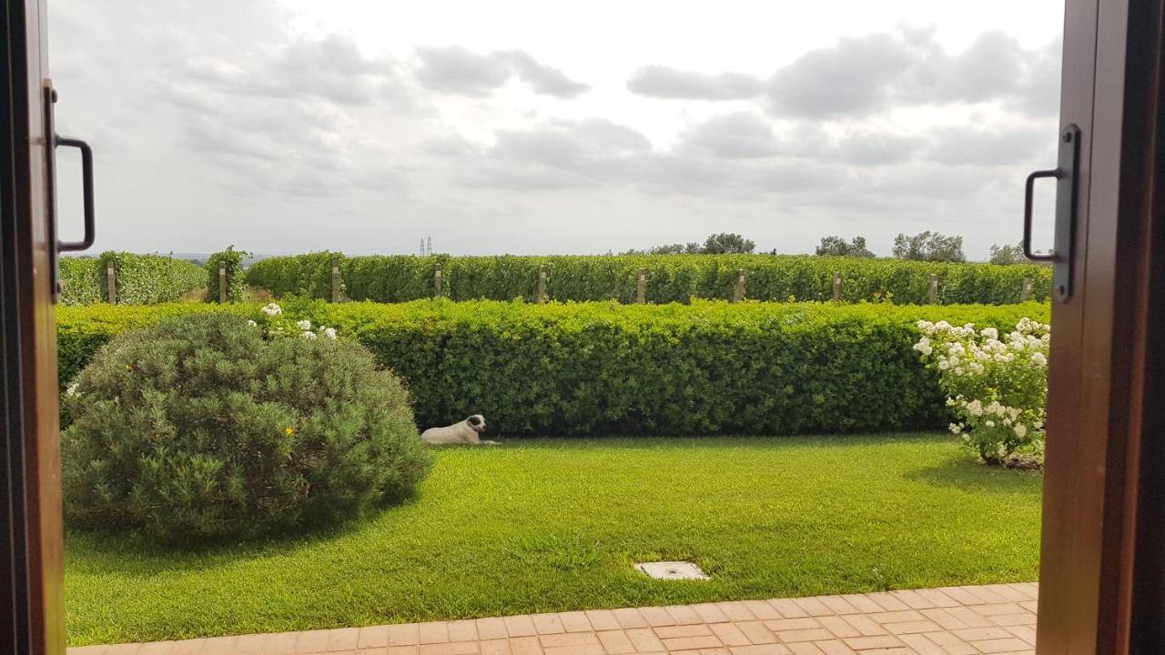 Il Casale Degli Ulivi - Agriturismo - Tenimenti Leone Lanuvio Bagian luar foto