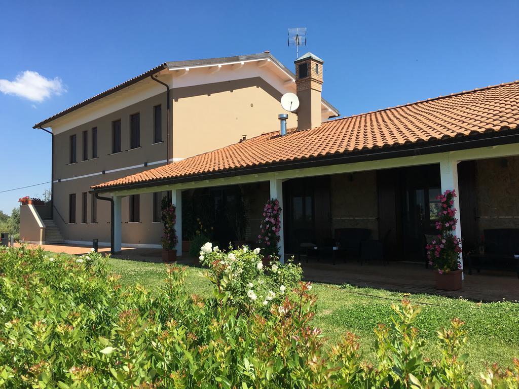 Il Casale Degli Ulivi - Agriturismo - Tenimenti Leone Lanuvio Bagian luar foto