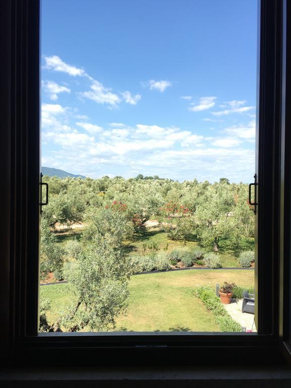 Il Casale Degli Ulivi - Agriturismo - Tenimenti Leone Lanuvio Bagian luar foto