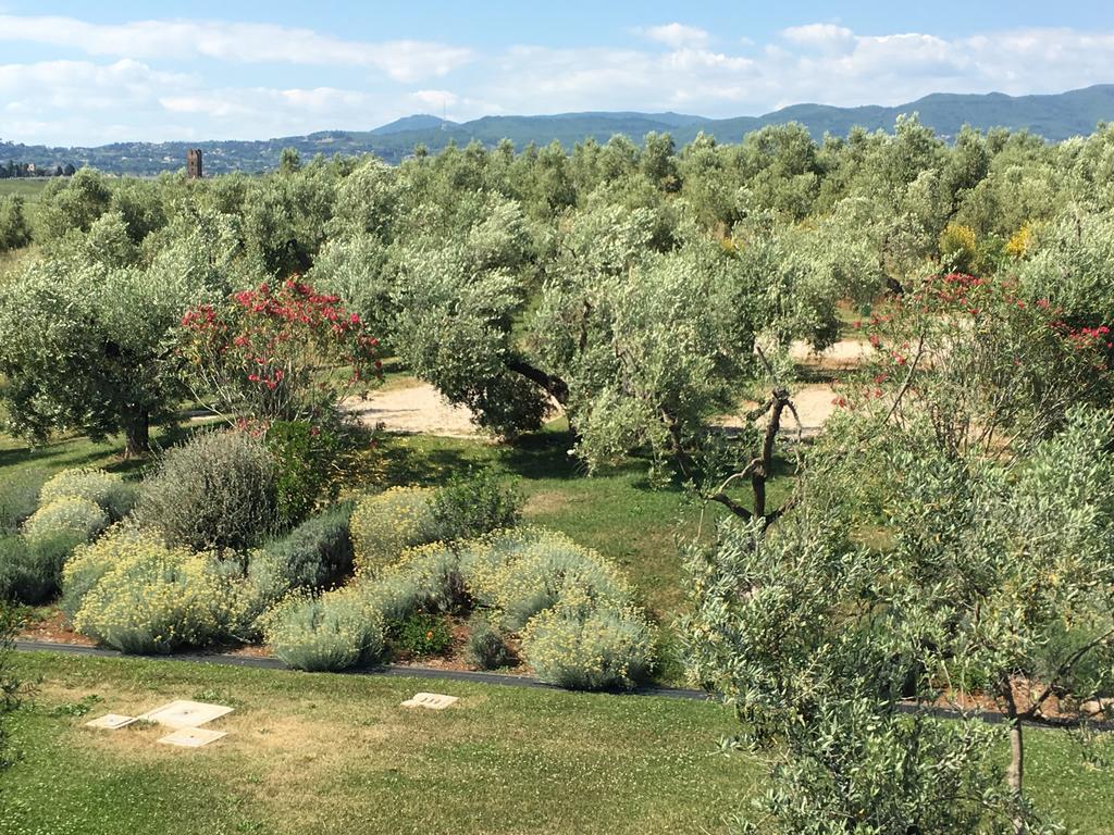 Il Casale Degli Ulivi - Agriturismo - Tenimenti Leone Lanuvio Bagian luar foto