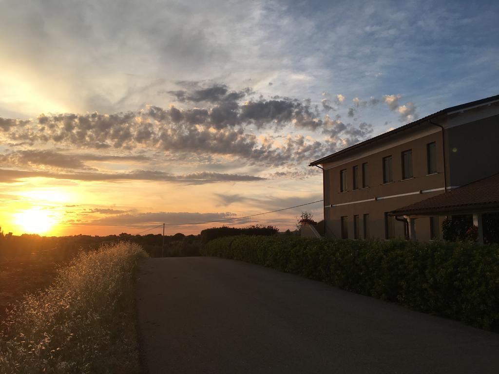 Il Casale Degli Ulivi - Agriturismo - Tenimenti Leone Lanuvio Bagian luar foto