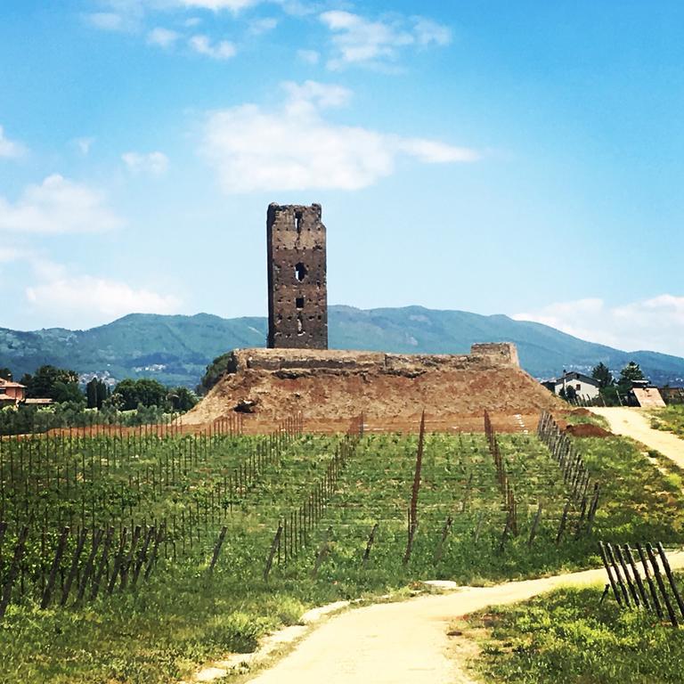 Il Casale Degli Ulivi - Agriturismo - Tenimenti Leone Lanuvio Bagian luar foto