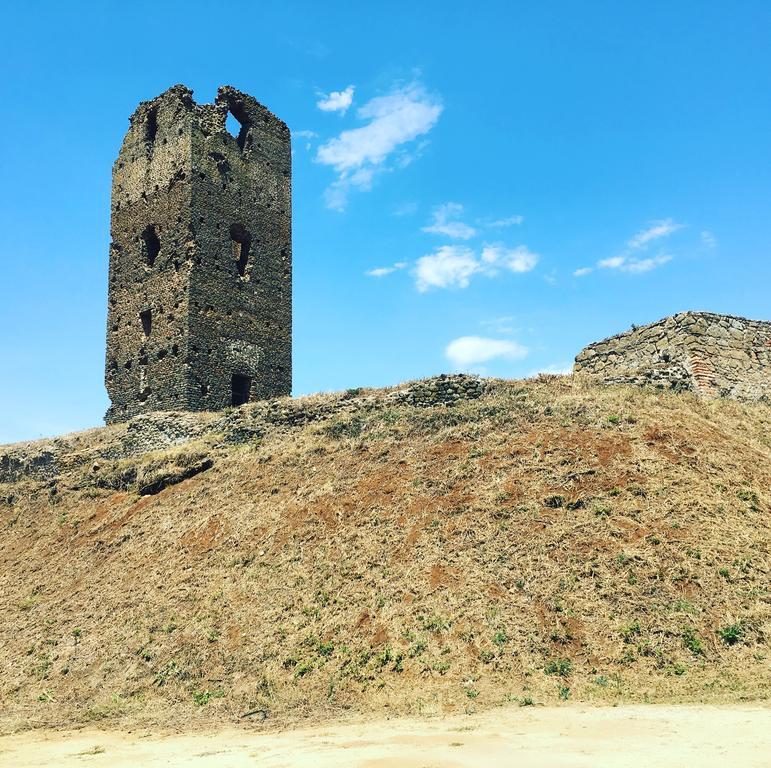 Il Casale Degli Ulivi - Agriturismo - Tenimenti Leone Lanuvio Bagian luar foto