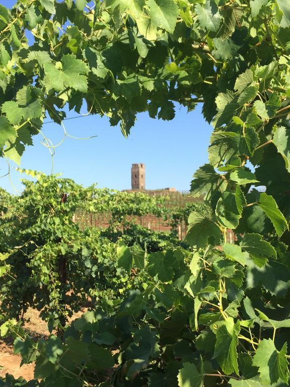 Il Casale Degli Ulivi - Agriturismo - Tenimenti Leone Lanuvio Bagian luar foto