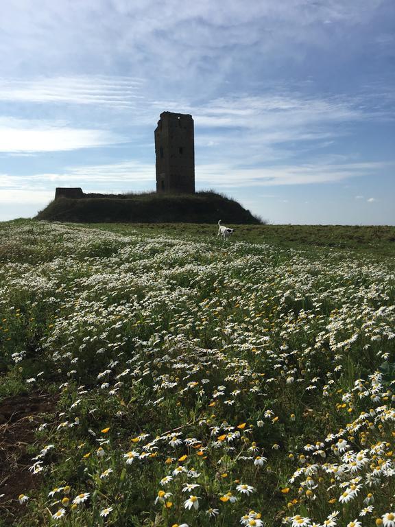 Il Casale Degli Ulivi - Agriturismo - Tenimenti Leone Lanuvio Bagian luar foto