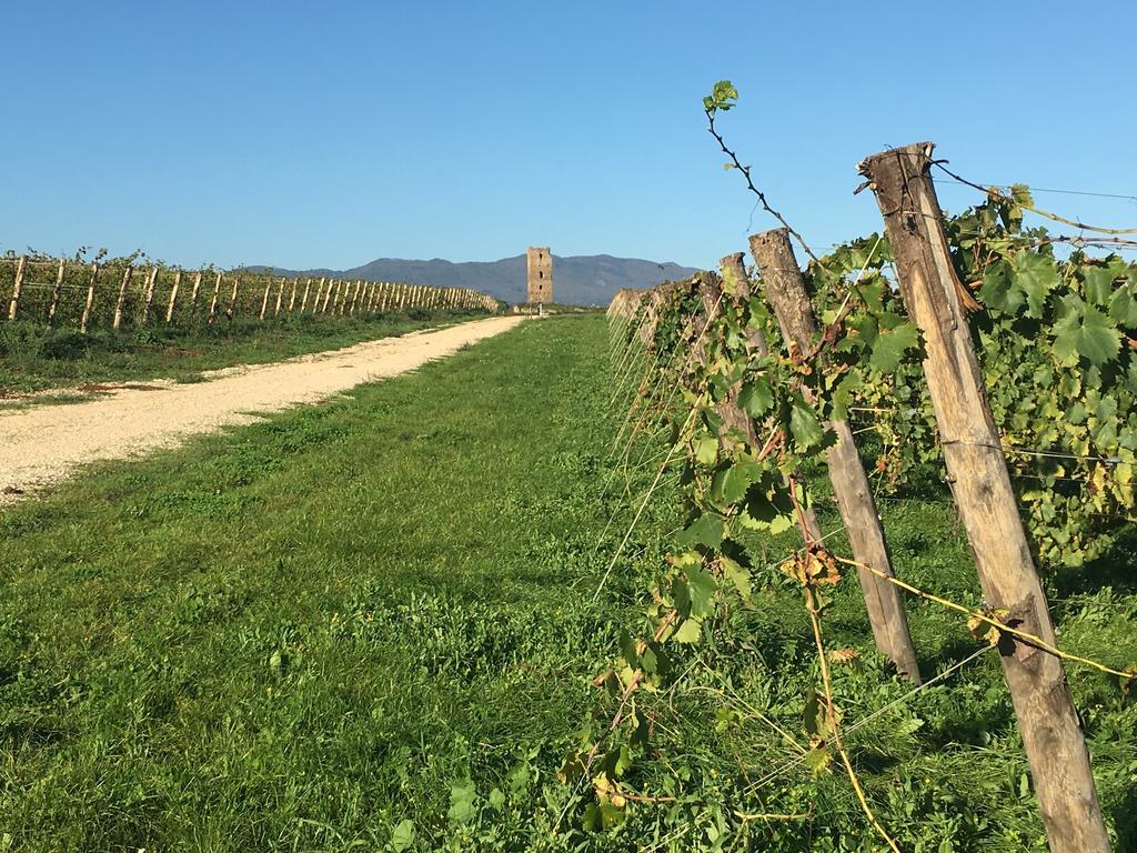 Il Casale Degli Ulivi - Agriturismo - Tenimenti Leone Lanuvio Bagian luar foto