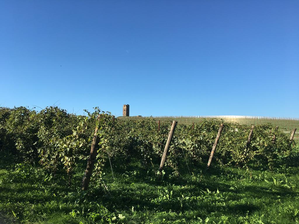 Il Casale Degli Ulivi - Agriturismo - Tenimenti Leone Lanuvio Bagian luar foto