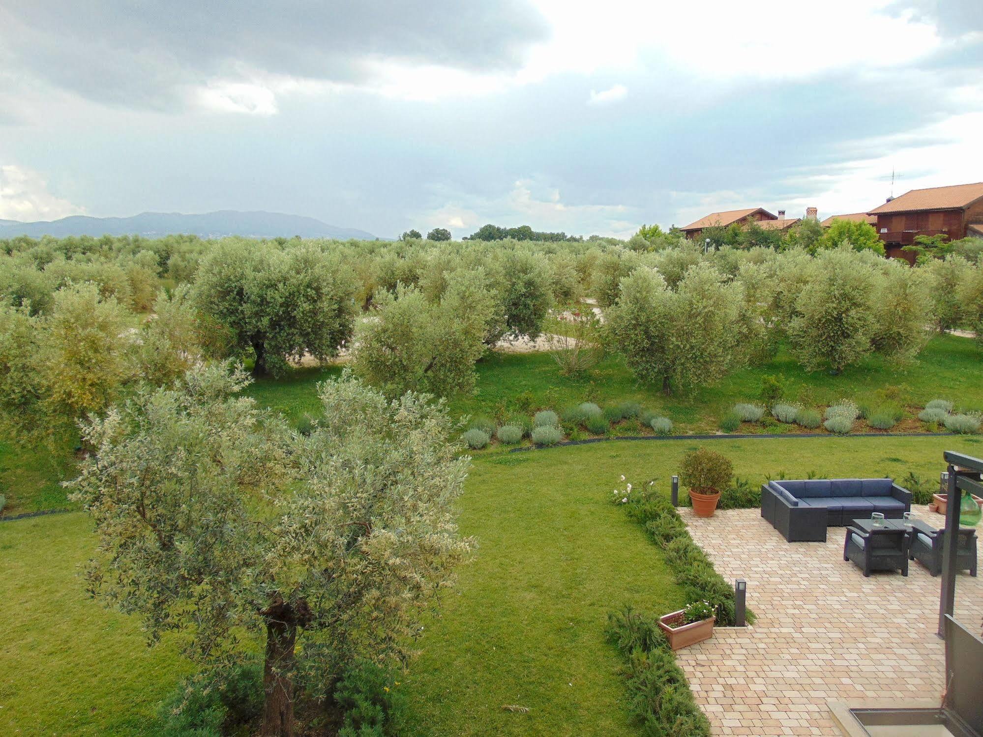Il Casale Degli Ulivi - Agriturismo - Tenimenti Leone Lanuvio Bagian luar foto