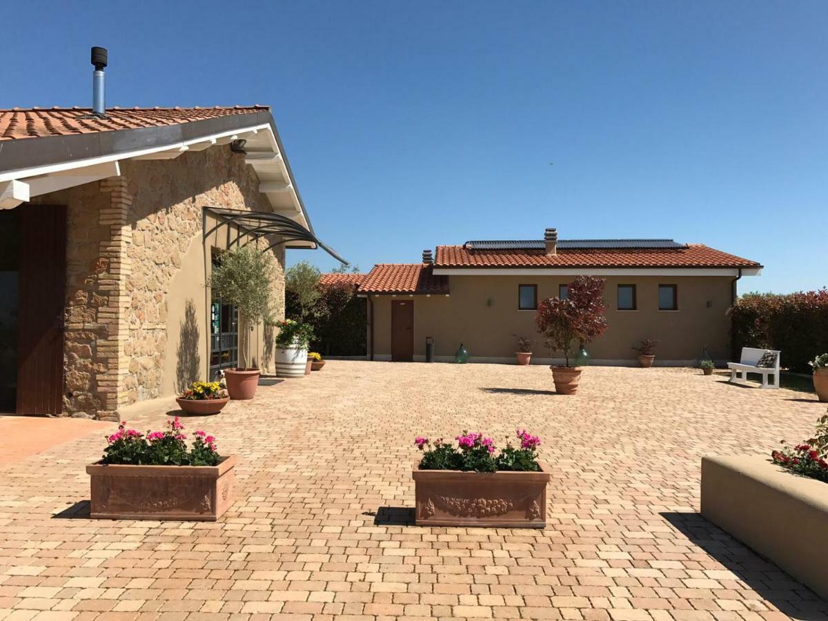 Il Casale Degli Ulivi - Agriturismo - Tenimenti Leone Lanuvio Bagian luar foto