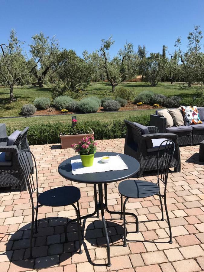 Il Casale Degli Ulivi - Agriturismo - Tenimenti Leone Lanuvio Bagian luar foto