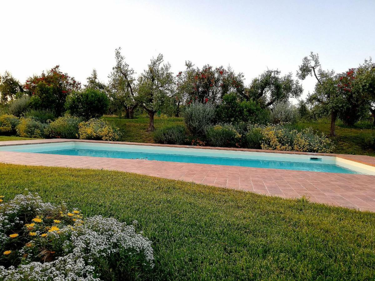 Il Casale Degli Ulivi - Agriturismo - Tenimenti Leone Lanuvio Bagian luar foto