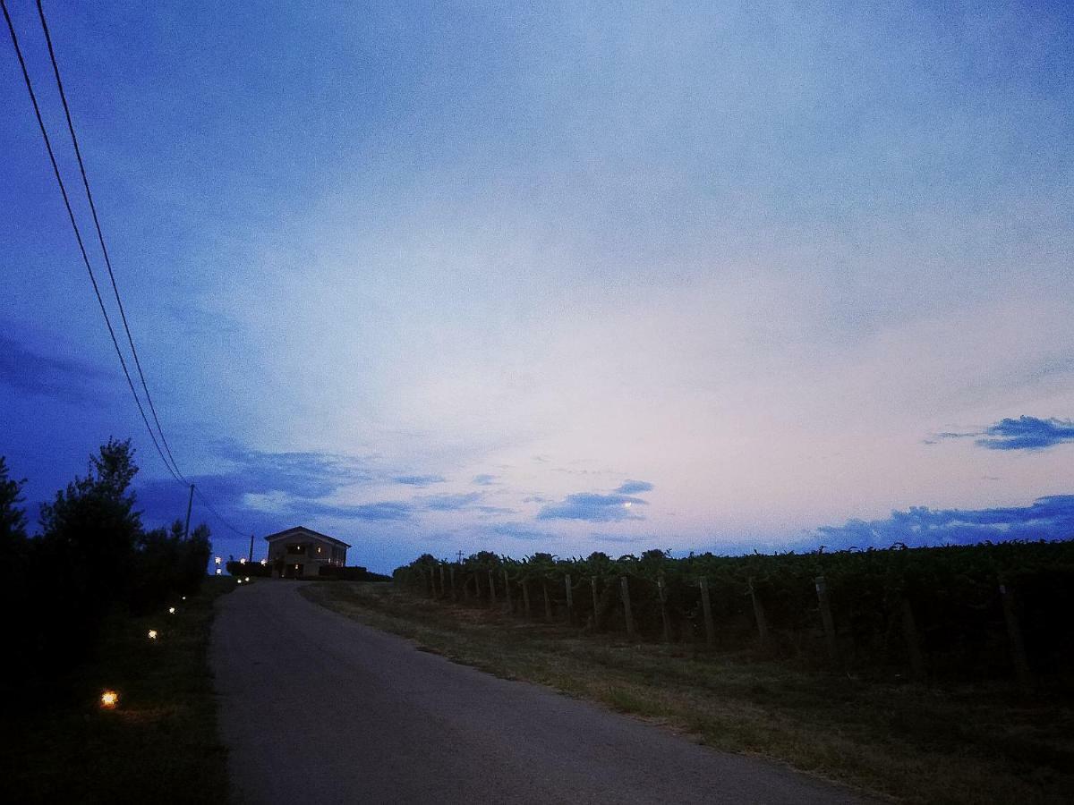 Il Casale Degli Ulivi - Agriturismo - Tenimenti Leone Lanuvio Bagian luar foto
